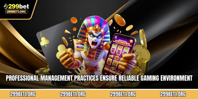 Professional management practices ensure reliable gaming environment and consistent service quality