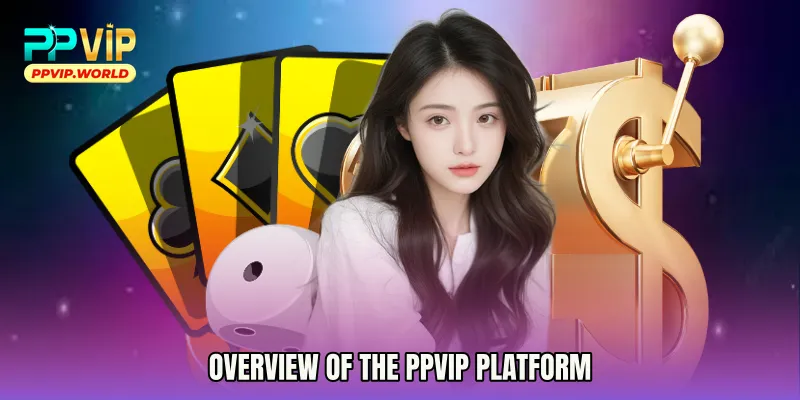 Overview of the PPVIP Platform